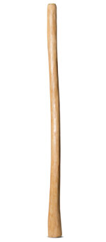 Natural Finish Flared Didgeridoo (TW991)